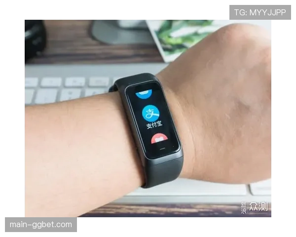 智能手环集成支付与定位功能 提升现场服务个性化与安全性